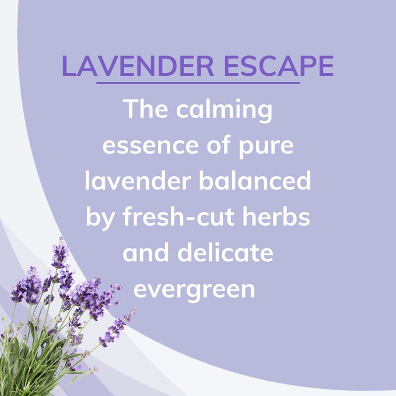 Citrus Magic Odor Absorbing Solid Air Freshener, Lavender Escape, 8 Ounce (Pack of 3) - Image 3